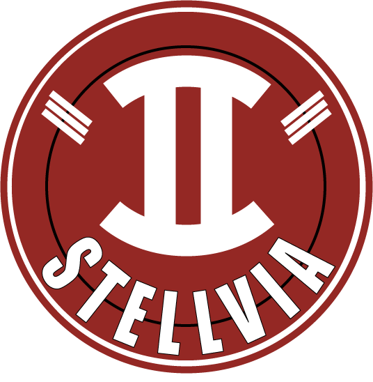 Stellvia logo.png