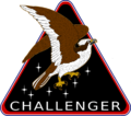 Challenger Artemis patch.png